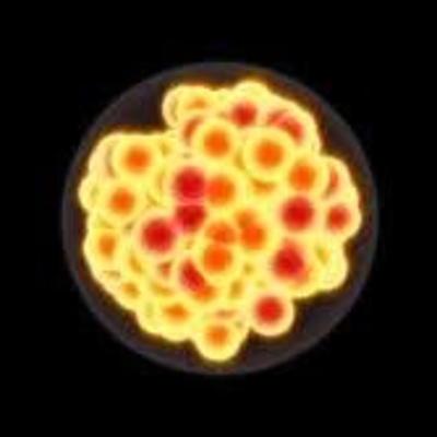 Grade 10 Science - Meadowridge