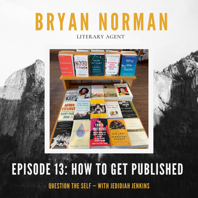 How To Get Published with Literary Agent Bryan Norman