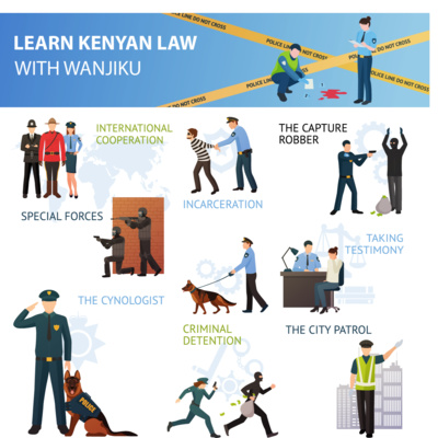 Golden rules of arrest without a warrant