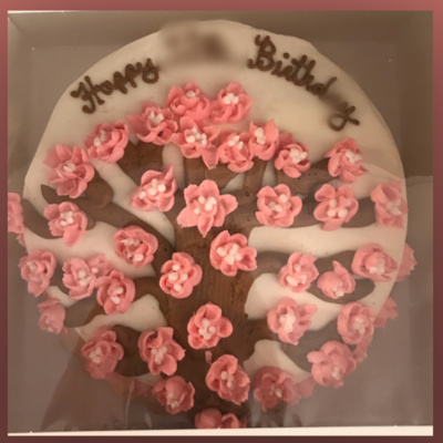 Birthday special + unboxing my new mic