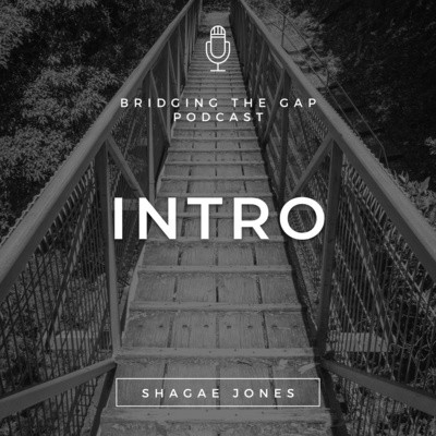 Introduction - Bridging the Gap