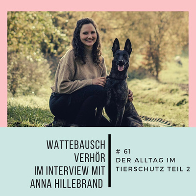 #62 Wattebauschverhör: Im Interview mit Anna Hillebrand - Der Alltag im Tierschutz Teil 2 