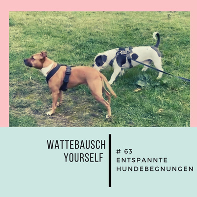 # 63 WBY: Entspannte Hundebegegnungen