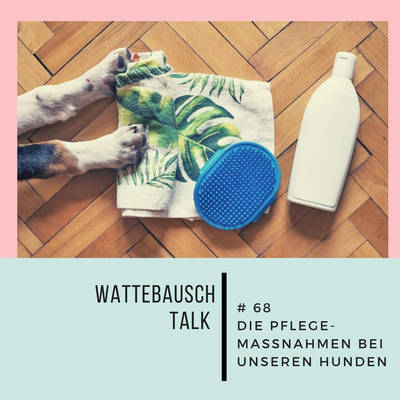 #68 Wattebauschtalk: Die Pflegemaßnahmen bei unseren Hunden