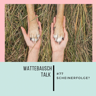 #77 Wattebauschtalk: Scheinerfolge?