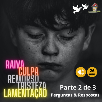 Perguntas & Respostas [NSimas] Raiva - Dor e Tristeza - Remorso [Top13bCap3LVAL Pgs107~108] episode artwork