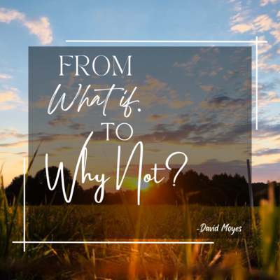 From What If to Why Not?