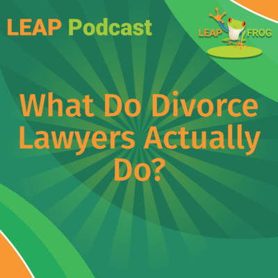 What Do Divorce Lawyers Actually Do?