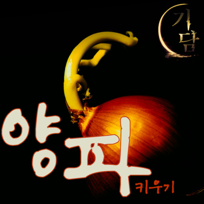 양파 '여러분도 어릴 때 한번은 키워 보셨지요? ' episode artwork