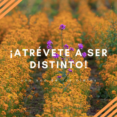 UNA VOZ DE LOS CIELOS