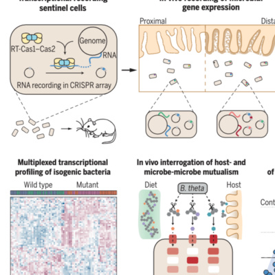 千菌万码 Microbial Matters