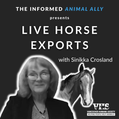 Live horse exports with Sinikka Crosland episode artwork
