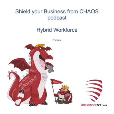 Shield your Business from CHAOS Podcast - S1E1