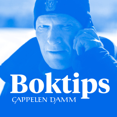Krimspesial: Wisting fra bok til serie