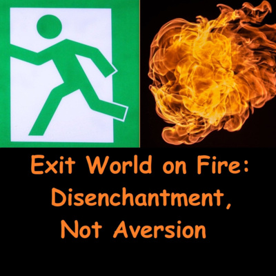 Exit World on Fire: Disenchantment, Not Aversion | Ajahn Dhammasiha | Reflections on Adittapariyaya Sutta Fire Sermon