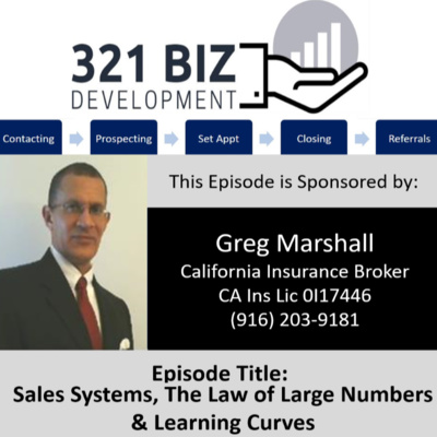 Sales Systems Plus The Law of Large Numbers Equal Sucessfully Moving Through the Sales Learning Curve