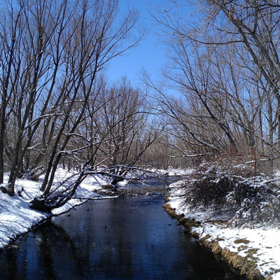Brief Thoughts on Winter