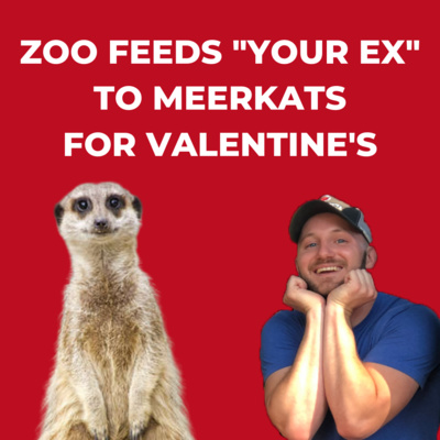 VALENTINE'S DAY: Zoo Feeds "Your Ex" to Meerkats