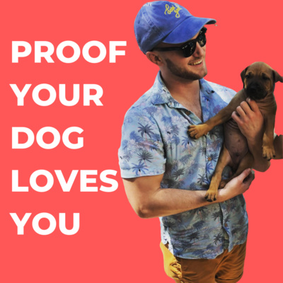 Science Proves Your Dog Really Does Love You