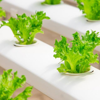 Vertical Farming - an introduction
