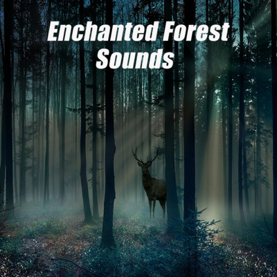 Enchanted Forest with Mystical atmosphere, calming nature sounds & occasional rain - 8 HOURS