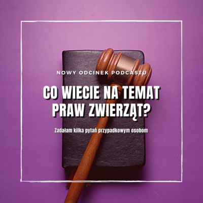 Co wiecie na temat praw zwierząt?