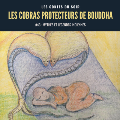 #43 Mythes et légendes indiennes : Les Cobras protecteurs de Bouddha