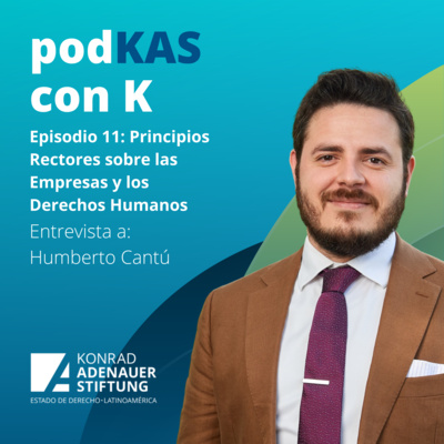 Episodio 11: Principios Rectores sobre las Empresas y los Derechos Humanos - Entrevista a Humberto Cantú