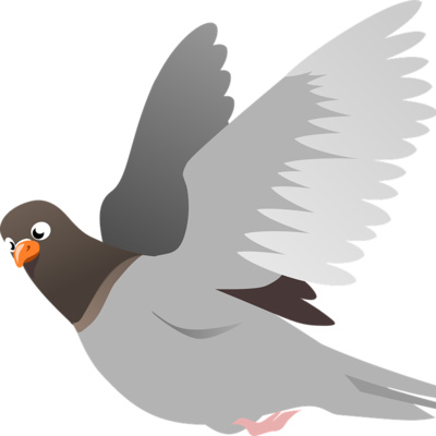 The Homing Pigeon