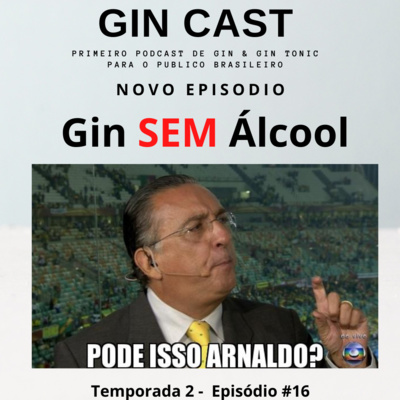 #16 Gin SEM Álcool - Pode isso, Arnaldo ?