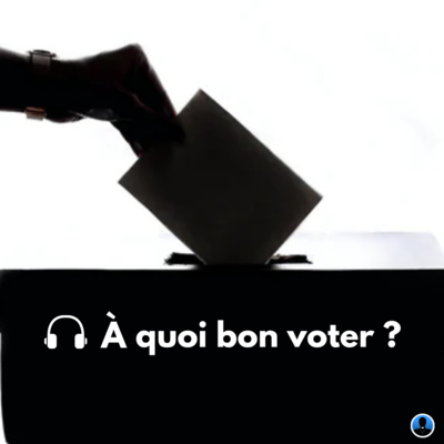 A quoi bon voter ? P. Amar (S2E29)