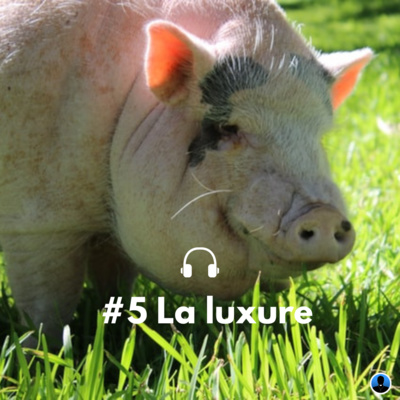 Les péchés capitaux : la luxure - P. Sabatié-Garat (S3E02)