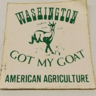 Kersey vs Carter Chapter 10 Washington Got My Goat!