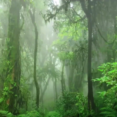 01- Three Hours of Rain with Thunder Soothing and Calming - Making it Easy to Relax and Fall Asleep. Rain with Thunder Can Help You Focus on your Breathing. 01- Three Hours of Rain with Thunder Soothing and Calming - Making it Easy to Relax and Fall Asleep. Rain with Thunder Can Help You Focus on your Breathing.