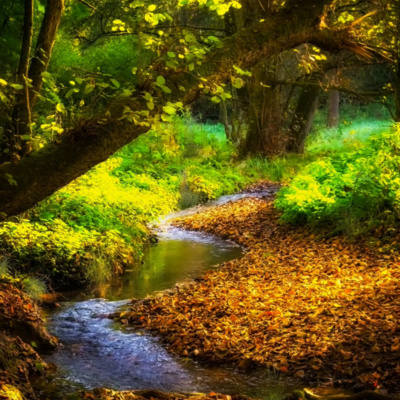 06- Sleep like a Baby with this 2 Hours of Soft Piano Music with Water Stream Sounds | Relaxing Piano Most Relaxing Music 06- Sleep like a Baby with this 2 Hours of Soft Piano Music with Water Stream Sounds | Relaxing Piano Most Relaxing Music