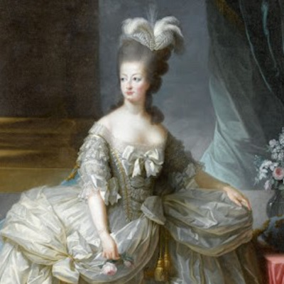 María Antonieta de Austria, Hacienda e impuestos