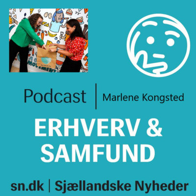 Erhverv og samfund