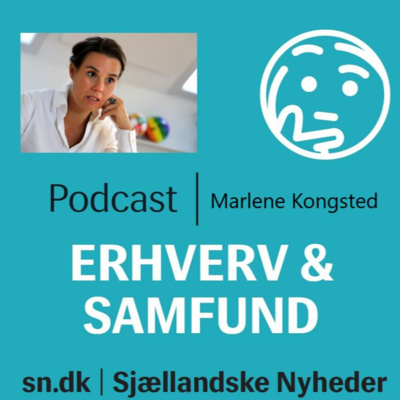 Erhverv og samfund