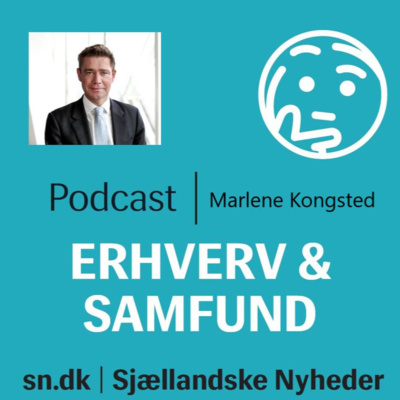 Erhverv og samfund