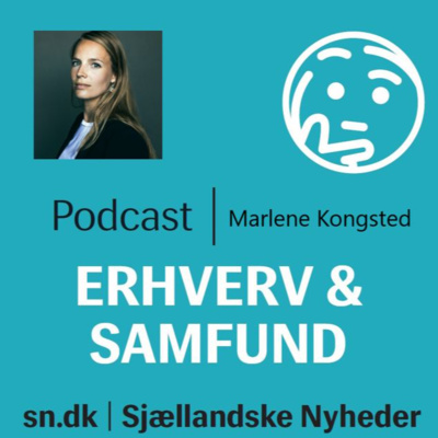 Erhverv og samfund