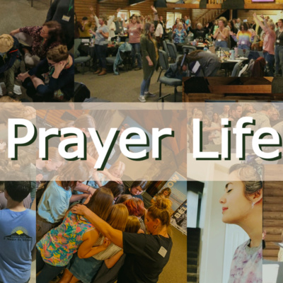 Prayer Life Pt. 1 - Prayers of Disappointment episode artwork