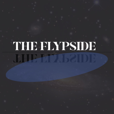 THE FLYPSIDE