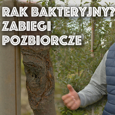 Przegląd Sadowniczy - sadownictwo