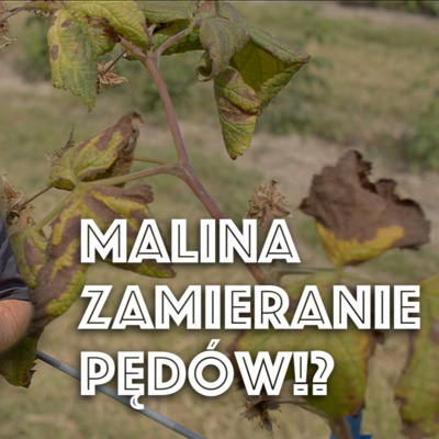 Przegląd Sadowniczy - sadownictwo