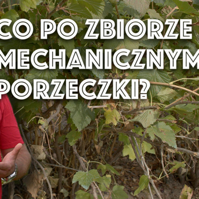 Przegląd Sadowniczy - sadownictwo