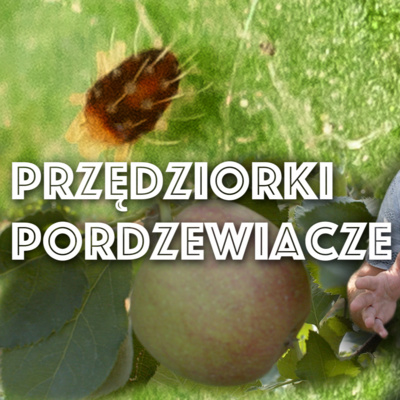 Przegląd Sadowniczy - sadownictwo