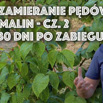 Przegląd Sadowniczy - sadownictwo