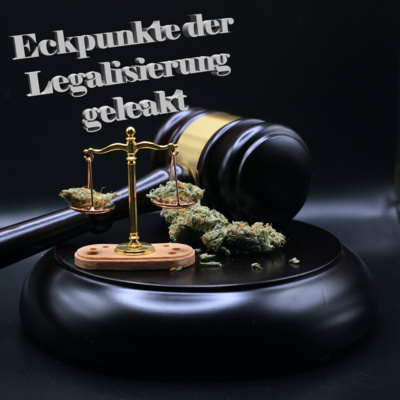 Sieht so die Legalisierung aus? - Vermeintliche Eckpunkte von Lauterbach geleakt