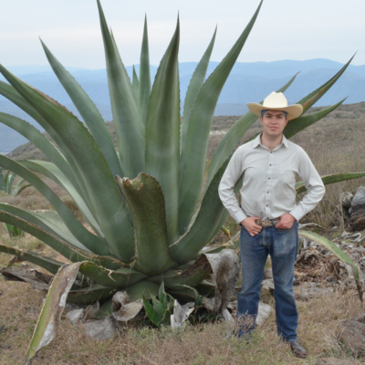 Agricultura #83. Ing. Juan Olmedo: Reflexiones sobre la producción de maguey pulquero y la Covid-19