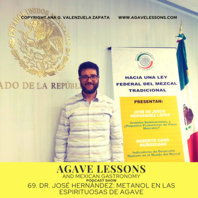 69. Dr. José Hernández: Metanol en las espirituosas de agave